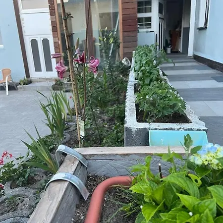 Antike Wohnmoeglichkeit Kurz Und Langfristig 100qm 1 Stock Apartment Lauchhammer