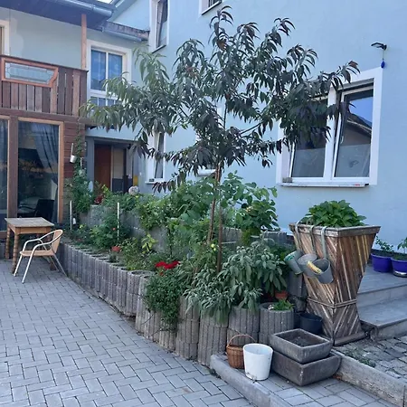 Antike Wohnmoeglichkeit Kurz Und Langfristig 100qm 1 Stock Apartment Lauchhammer